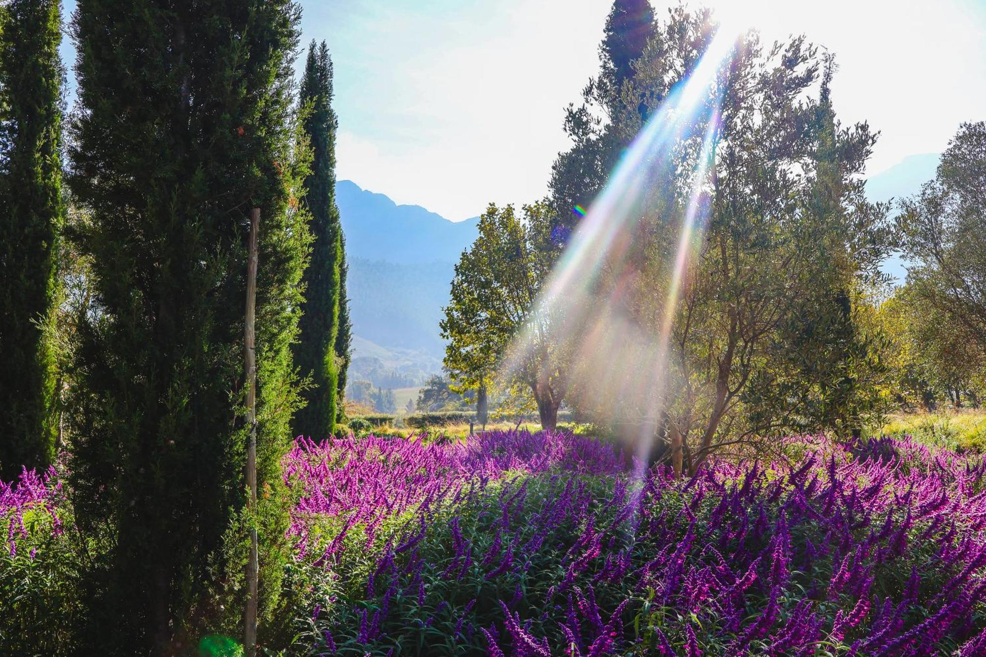 La Villa Franschhoek Εξωτερικό φωτογραφία